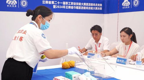 云南省家政服務(wù)技能大賽暨家政進社區(qū)推廣示范活動啟動