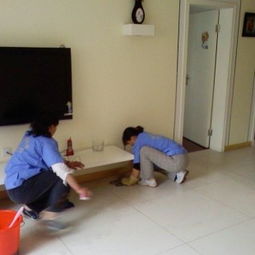 家政服務(wù) 現(xiàn)代生活的品質(zhì)助手與和諧家庭的守護(hù)者